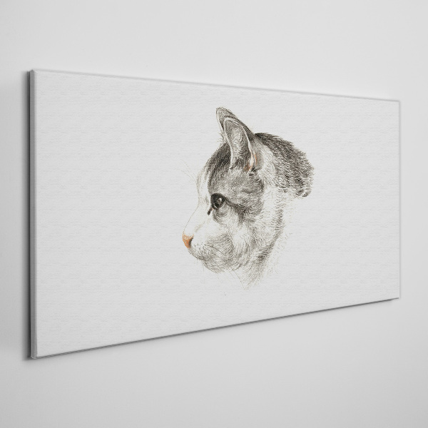 Foto auf leinwand Porträt einer Katze auf weißem Hintergrund