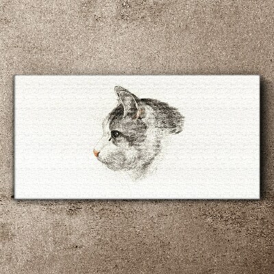 Foto auf leinwand Porträt einer Katze auf weißem Hintergrund