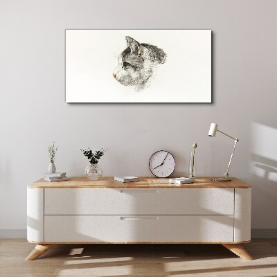 Foto auf leinwand Porträt einer Katze auf weißem Hintergrund