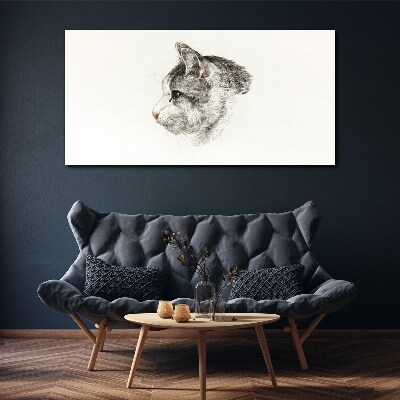 Foto auf leinwand Porträt einer Katze auf weißem Hintergrund