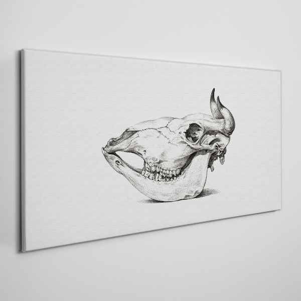 Wandbild Tierschädel