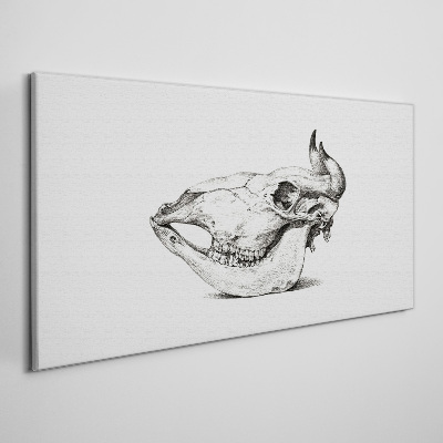 Wandbild Tierschädel