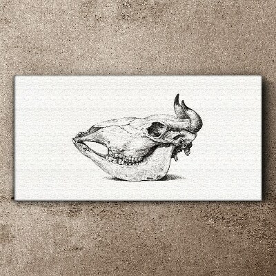 Wandbild Tierschädel