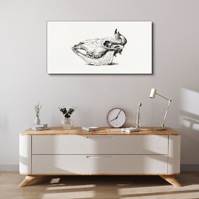 Wandbild Tierschädel