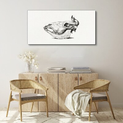 Wandbild Tierschädel