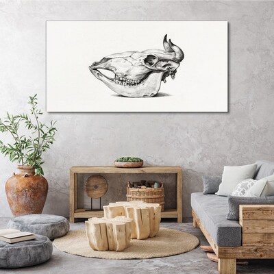 Wandbild Tierschädel