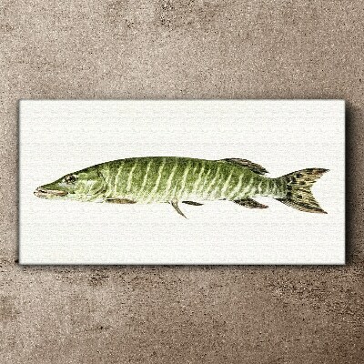 Bild auf leinwand Muskie in seinem natürlichen Lebensraum
