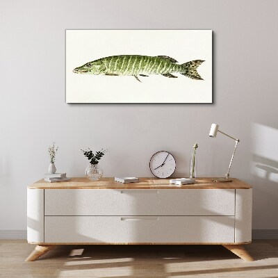 Bild auf leinwand Muskie in seinem natürlichen Lebensraum