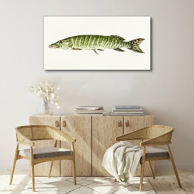 Bild auf leinwand Muskie in seinem natürlichen Lebensraum