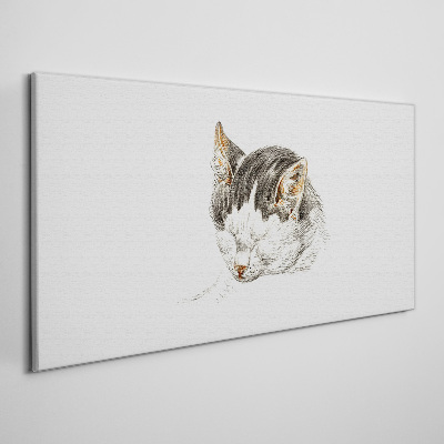 Foto auf leinwand Katzentraum