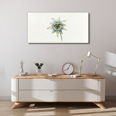 Foto auf leinwand Passionsblume auf weißem Hintergrund