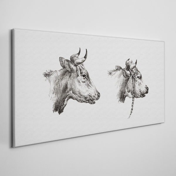 Foto auf leinwand Porträt von zwei Kühen