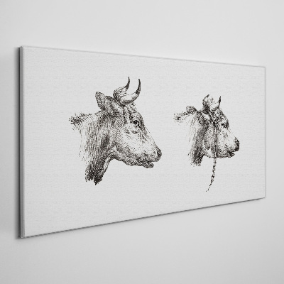 Foto auf leinwand Porträt von zwei Kühen