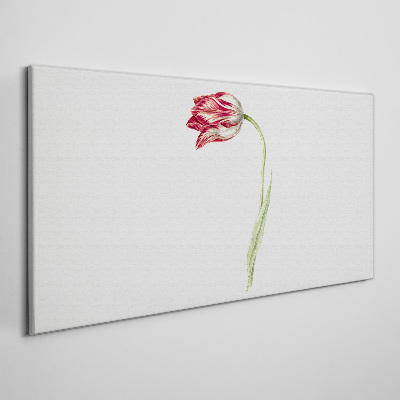Foto auf leinwand Tulpe in zarten Farbtönen