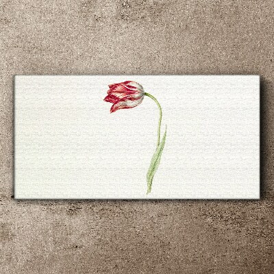 Foto auf leinwand Tulpe in zarten Farbtönen