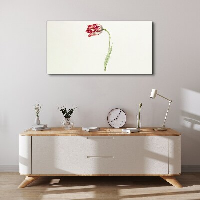 Foto auf leinwand Tulpe in zarten Farbtönen