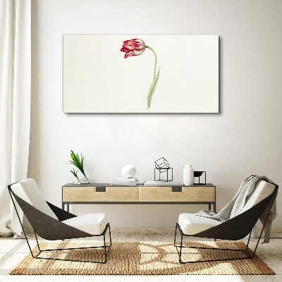 Foto auf leinwand Tulpe in zarten Farbtönen