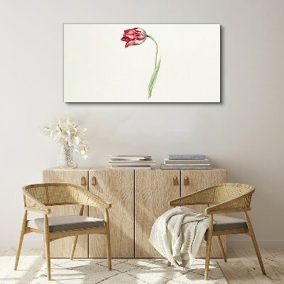 Foto auf leinwand Tulpe in zarten Farbtönen
