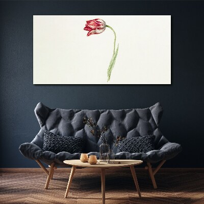 Foto auf leinwand Tulpe in zarten Farbtönen