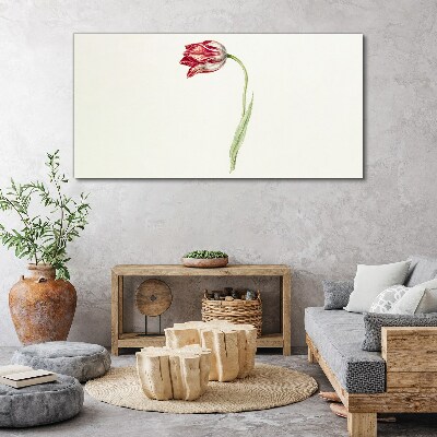 Foto auf leinwand Tulpe in zarten Farbtönen