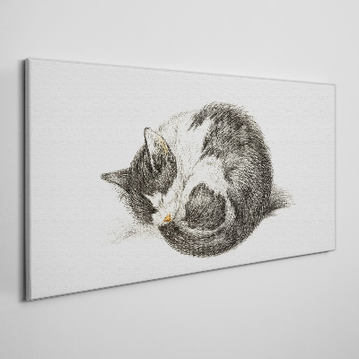 Foto auf leinwand Katzentraum in monochromen Tönen