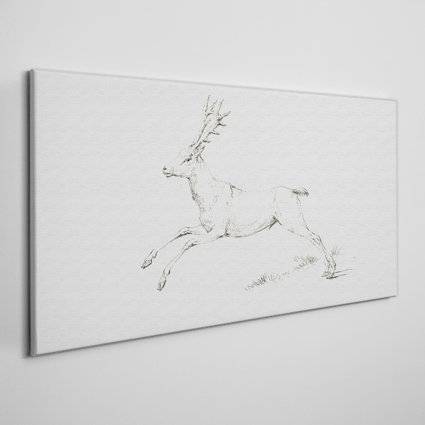 Foto auf leinwand Springender Hirsch auf weißem Hintergrund