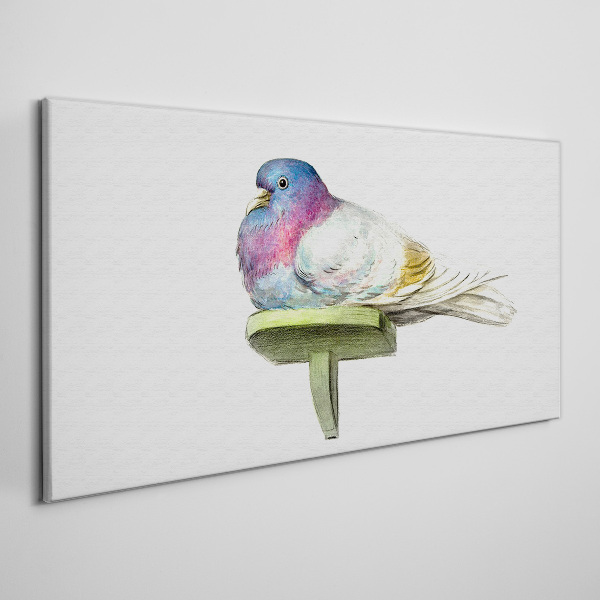 Foto auf leinwand Bunte Taube in Pastelltönen