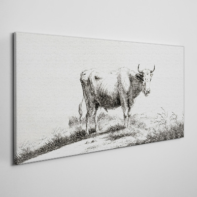 Foto auf leinwand Schwarze Kuh auf der Weide