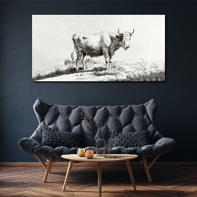 Foto auf leinwand Schwarze Kuh auf der Weide