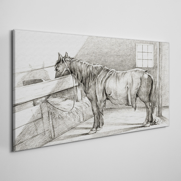 Fotobilder Ein ruhiges Pferd im Stall