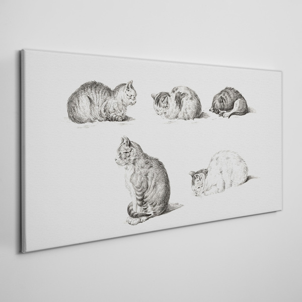 Foto leinwand Verschiedene Haltungen von Katzen
