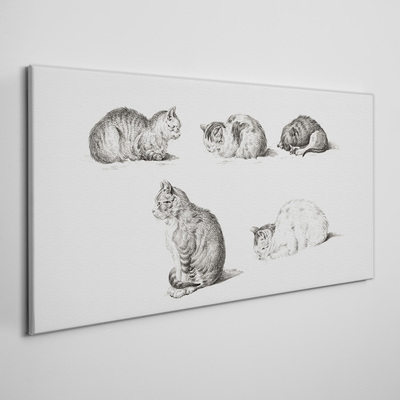 Foto leinwand Verschiedene Haltungen von Katzen