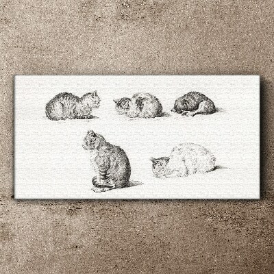 Foto leinwand Verschiedene Haltungen von Katzen