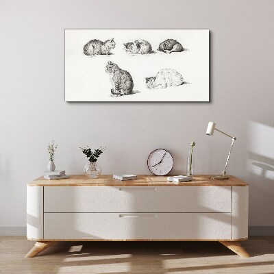 Foto leinwand Verschiedene Haltungen von Katzen