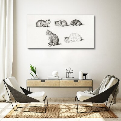 Foto leinwand Verschiedene Haltungen von Katzen