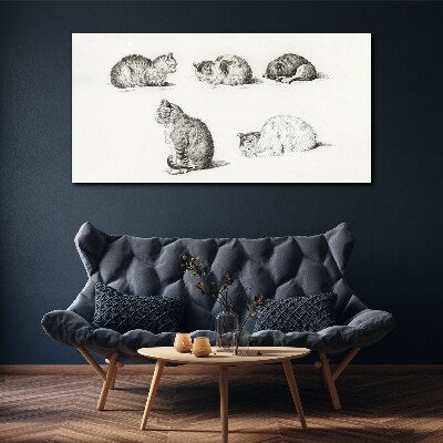 Foto leinwand Verschiedene Haltungen von Katzen