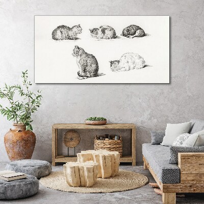 Foto leinwand Verschiedene Haltungen von Katzen