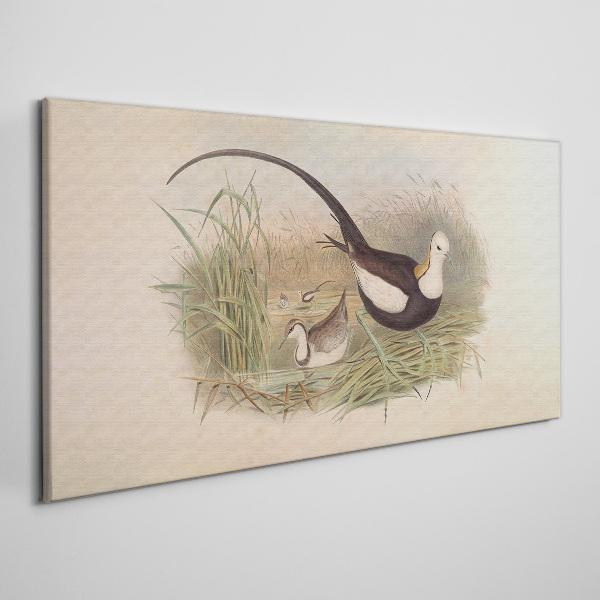 Bild auf leinwand Vögel im Gras