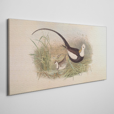 Bild auf leinwand Vögel im Gras