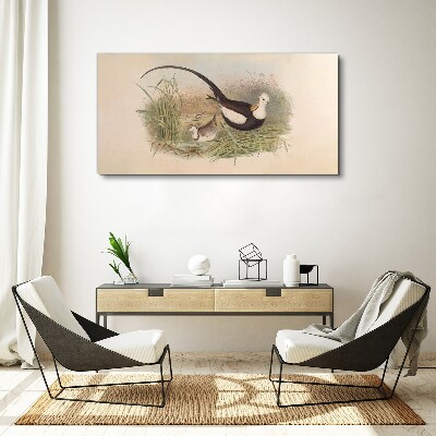 Bild auf leinwand Vögel im Gras