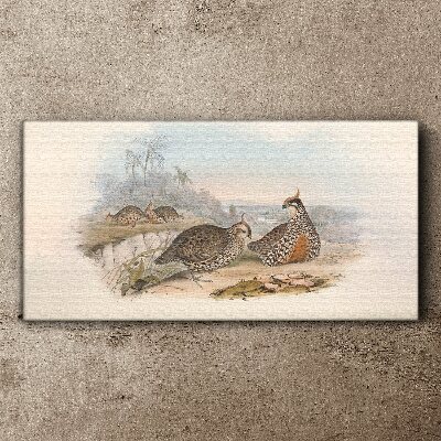 Fotobilder Enten in tropischer Umgebung