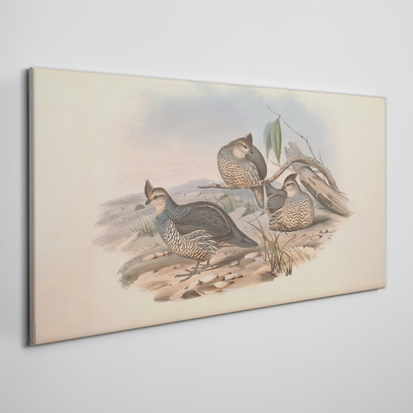 Bild auf leinwand Friedliches Vogelleben am Strand