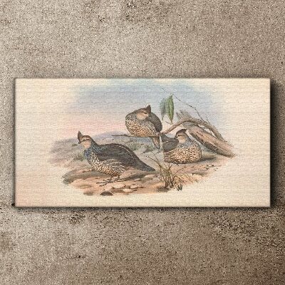 Bild auf leinwand Friedliches Vogelleben am Strand
