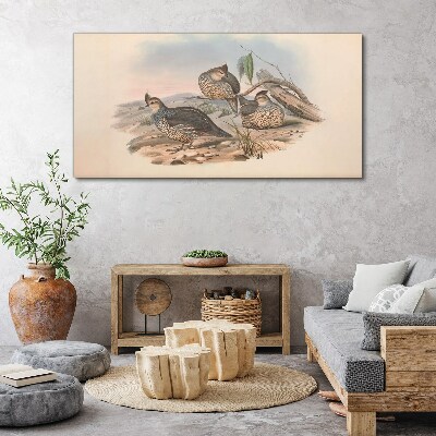 Bild auf leinwand Friedliches Vogelleben am Strand