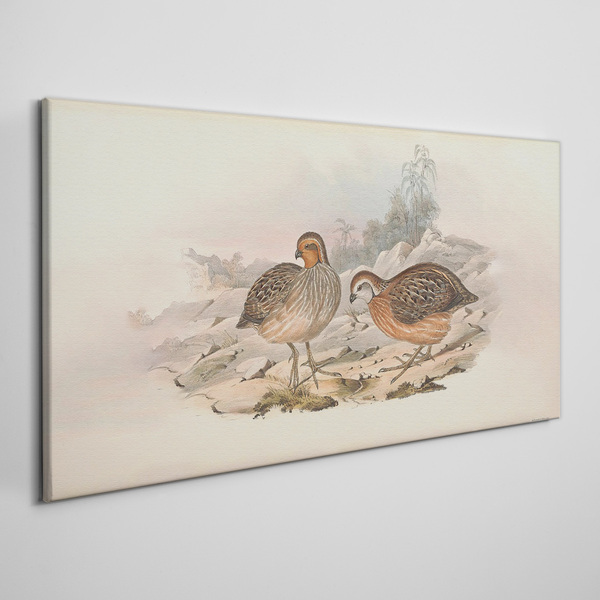 Fotobilder Ein Vogelpaar auf zartem Hintergrund