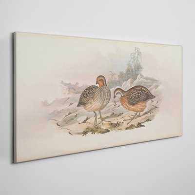 Fotobilder Ein Vogelpaar auf zartem Hintergrund