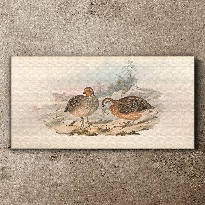 Fotobilder Ein Vogelpaar auf zartem Hintergrund
