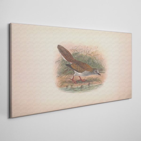 Foto auf leinwand Ein Vogel über dem Wasser
