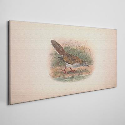 Foto auf leinwand Ein Vogel über dem Wasser