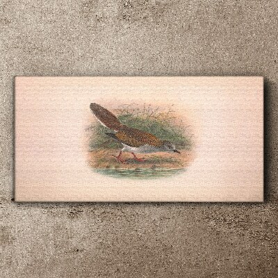 Foto auf leinwand Ein Vogel über dem Wasser